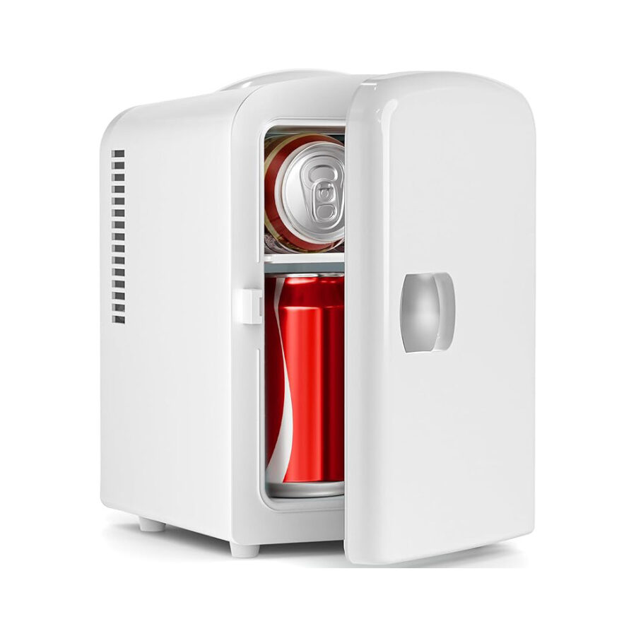 Portable Mini Fridge